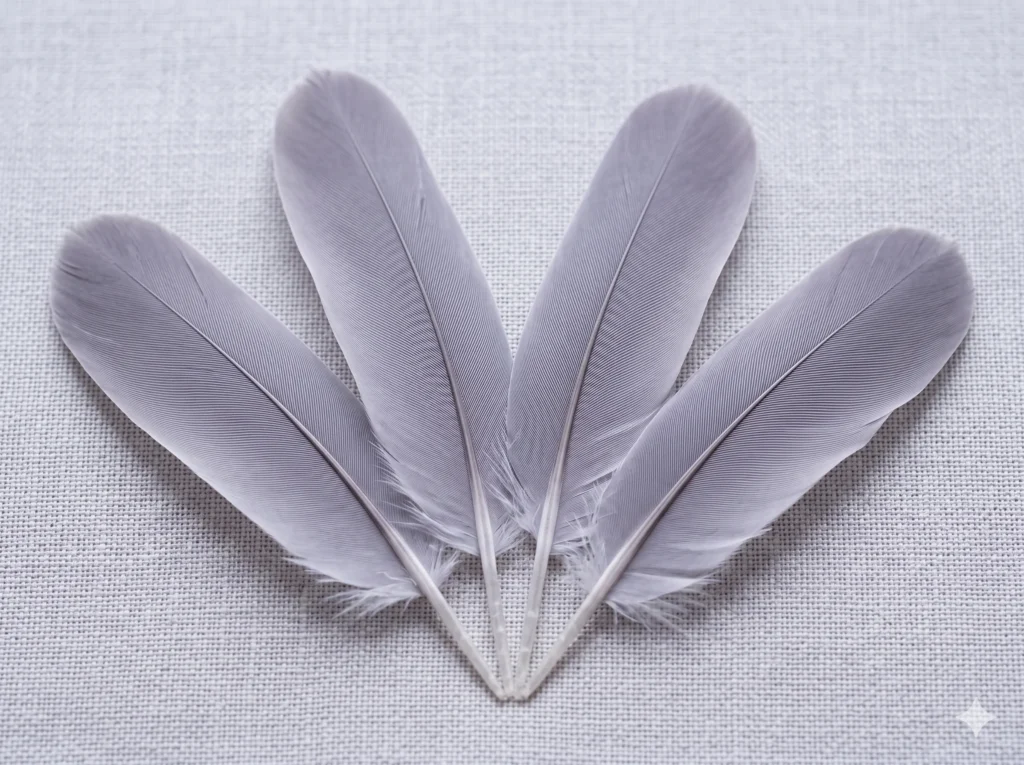 Dove feathers in pale cool grey-violet tones on linen, illustrating the natural occurrence of Soft Summer's Soft Lavender colour #C9C5D3 — the violet whisper present in dove-grey feather plumage.