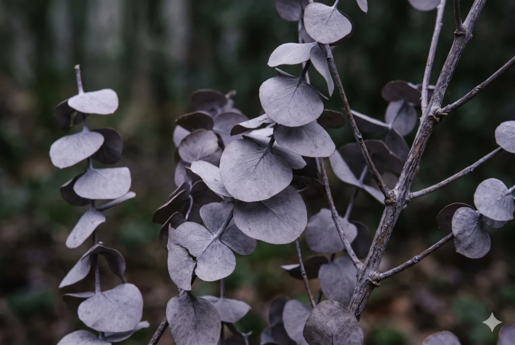 Eucalyptus stems and dried leaves in cool shade showing a greyed violet tone matching Dusky Violet #ACA6B8 — hero image for the Soft Summer palette's deepest cool accent swatch.
