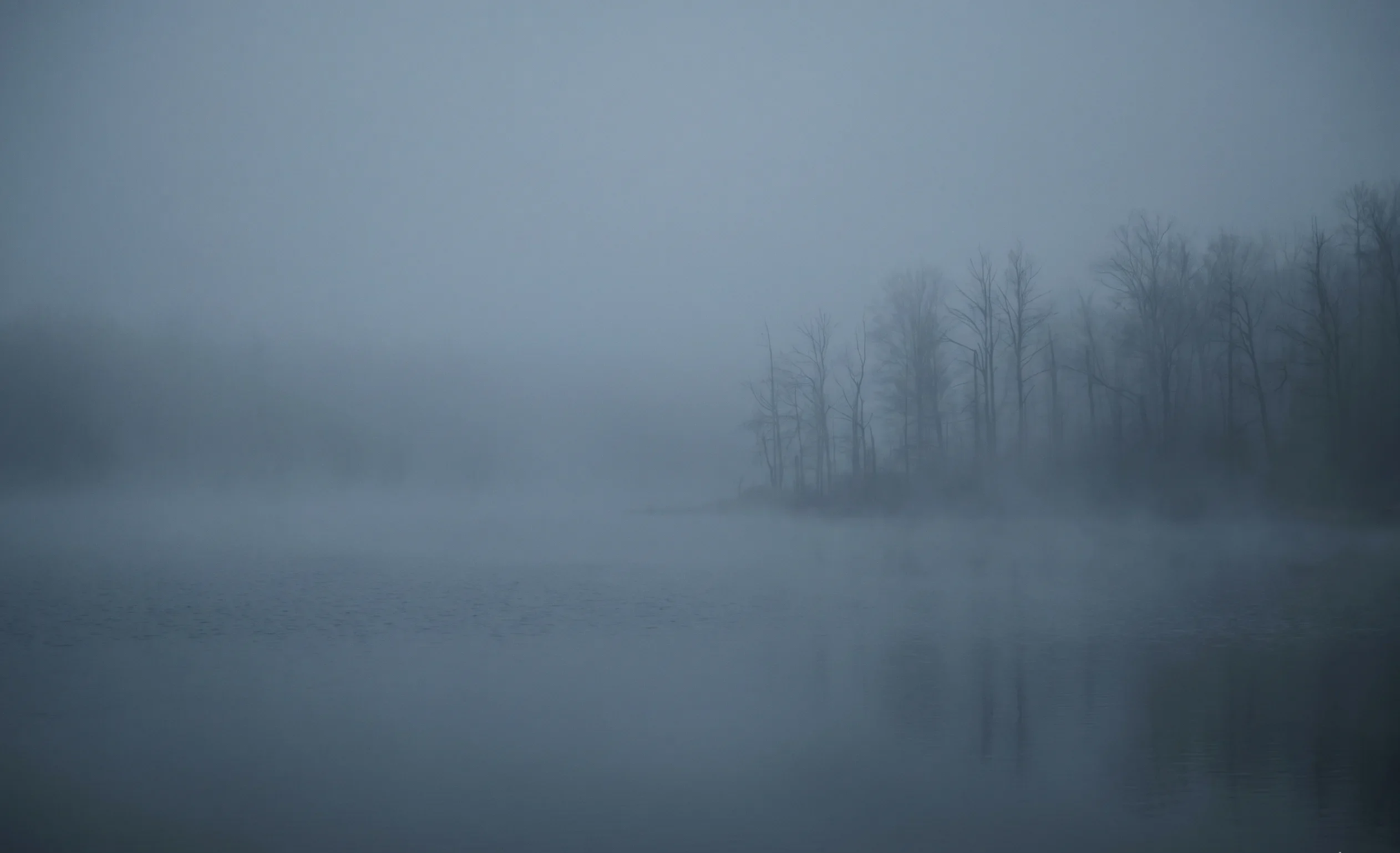 Thick morning mist hanging low over a still lake with barely visible tree line, representing the deep, muted atmosphere of Soft Summer's Slate Blue colour #B8BEC9.