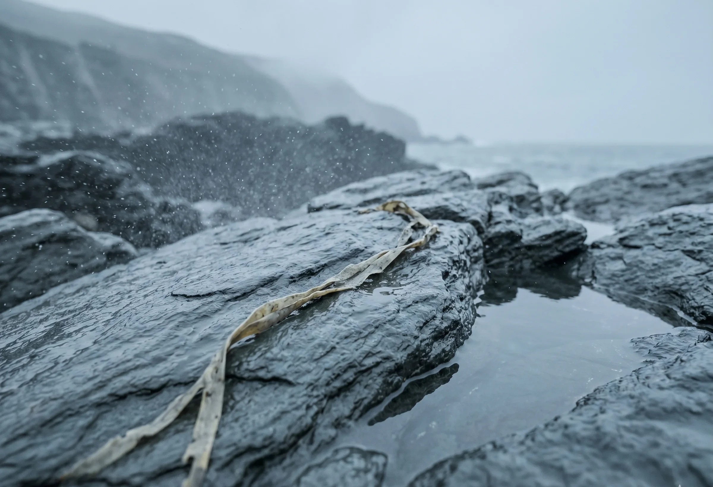 Sea spray over wet grey-blue slate rocks on an overcast shore, illustrating the atmospheric tint quality of Soft Summer's Misty Blue-Grey colour #C8D4D9.
