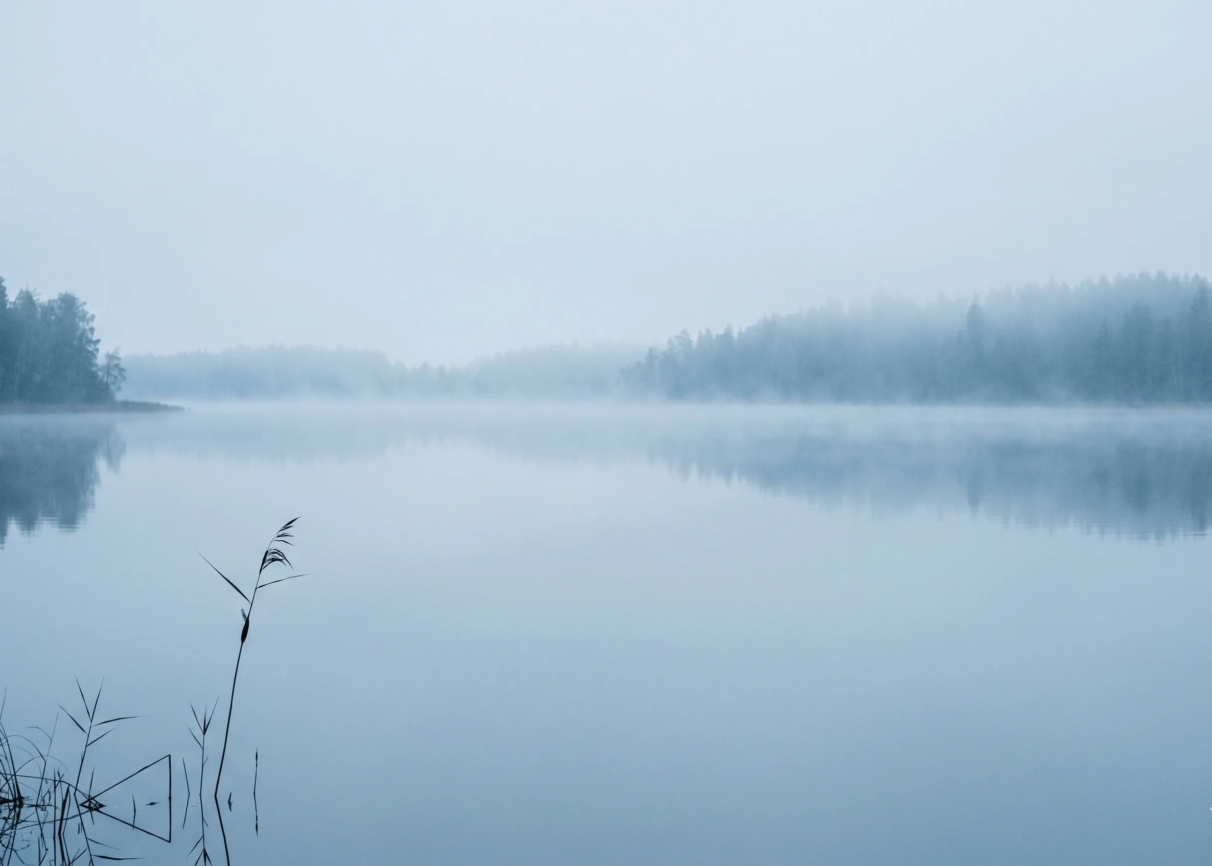 Pale blue-grey fog settling over a still lake at dawn, matching the Soft Summer Misty Blue-Grey colour #C8D4D9 — atmospheric reference for a cool, muted neutral.